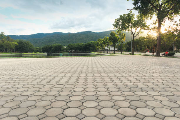 Best Residential Driveway Paving in Shady Shores, TX